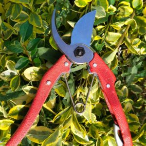 Forbice da potatura 180 mm