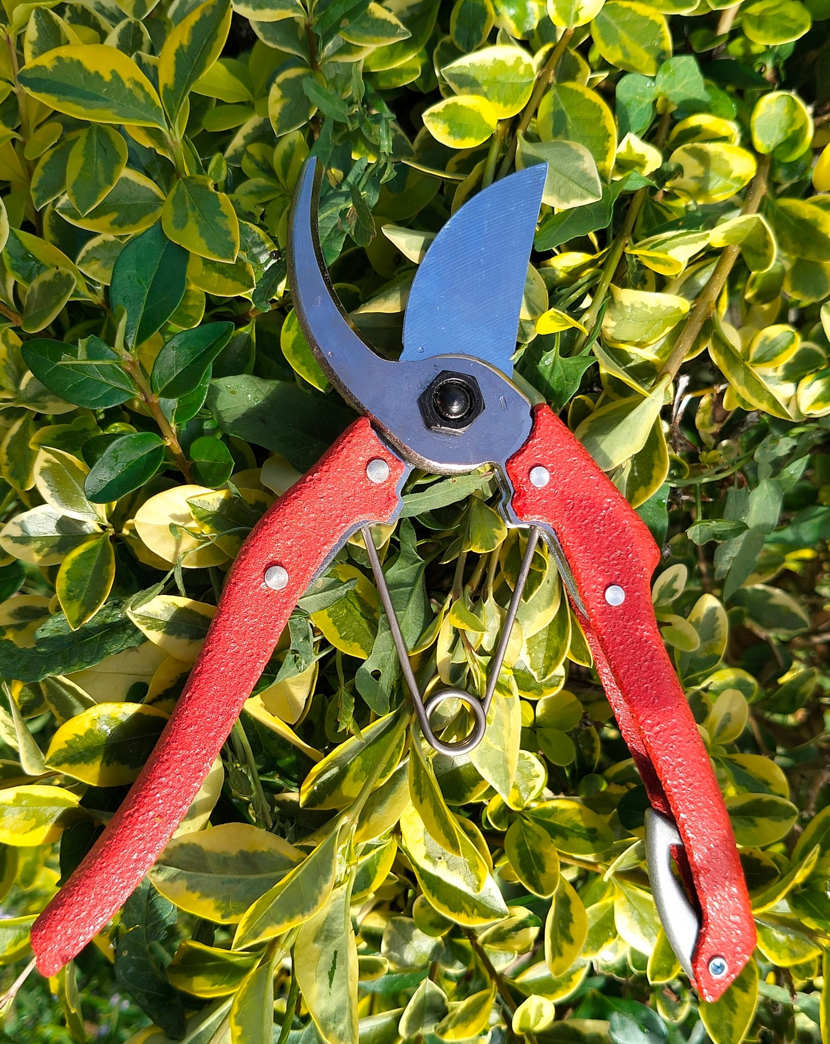 Forbice da potatura 180 mm