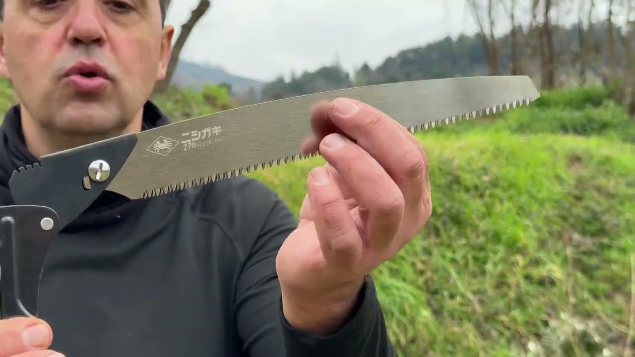 Sega leggera – potatura olivi